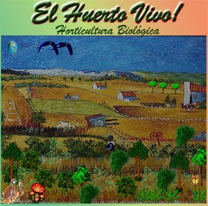 cd_huerto.jpg