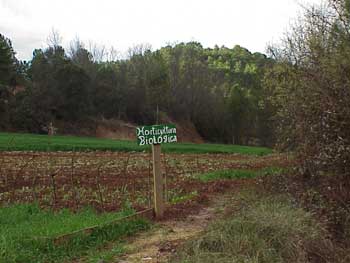 ecofito36.jpg