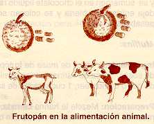 areapan34.jpg (8240 bytes)