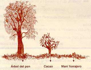 areapan42.jpg (13870 bytes)