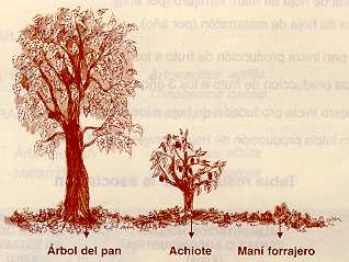 areapan43.jpg (13949 bytes)