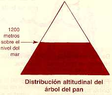 arepan13.jpg (5842 bytes)