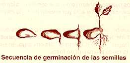 arepan14.jpg (5604 bytes)