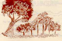 arepan18.jpg (10576 bytes)