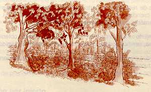 arepan19.jpg (14435 bytes)