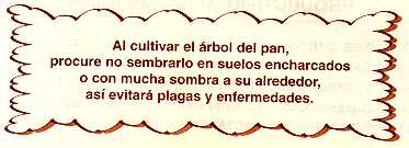 arepan22.jpg (11589 bytes)