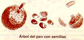 arepan23.jpg (8416 bytes)