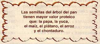 arepan24.jpg (11142 bytes)