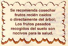 arepan26.jpg (10053 bytes)