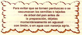 arepan31.jpg (13514 bytes)