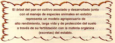 arepan39.jpg (18739 bytes)