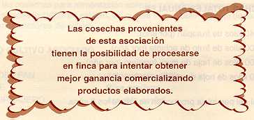 arepan44.jpg (12912 bytes)